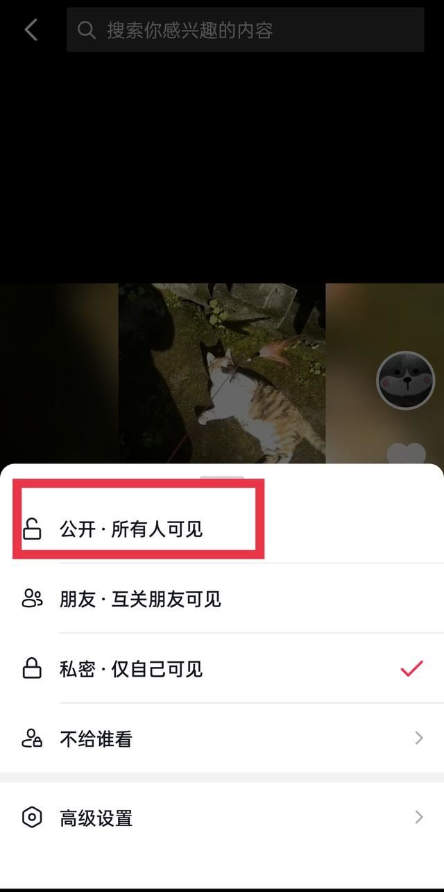 視頻怎樣取消設(shè)為私密的設(shè)置？