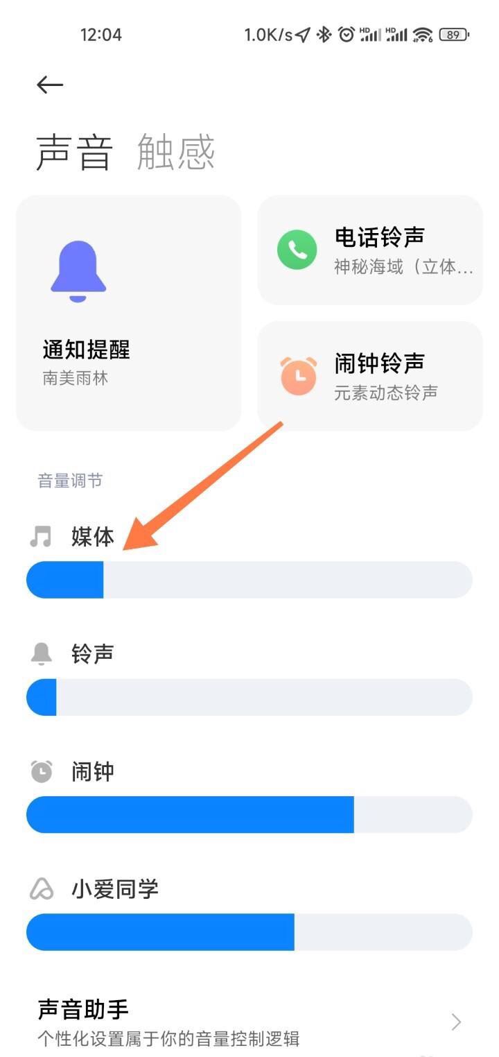 抖音沒有聲音了怎么設(shè)置？