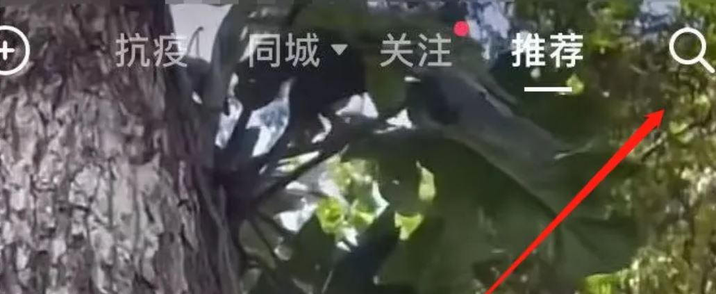 抖音等級(jí)怎么才能上升得快？