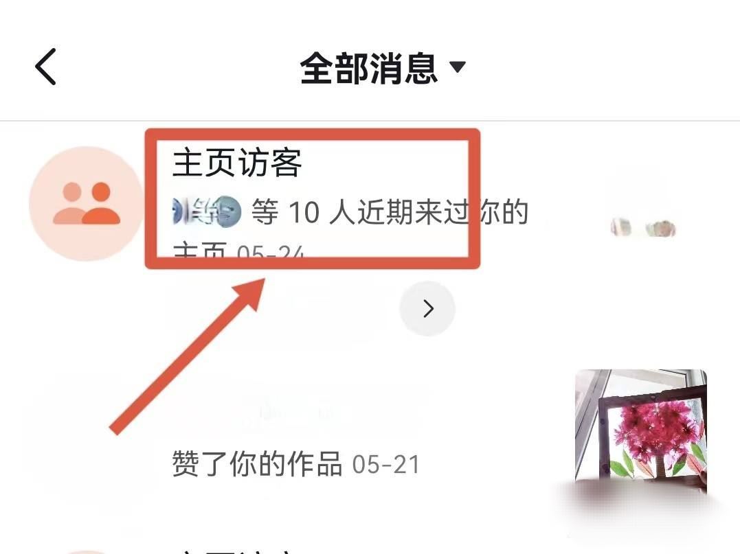 抖音瀏覽器怎么查看全部訪客？