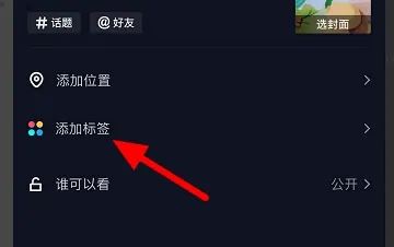抖音上照片上的標(biāo)簽如何添加？