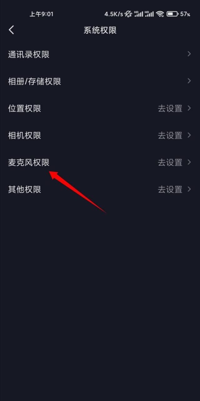 抖音拍視頻怎么打開麥克風(fēng)？