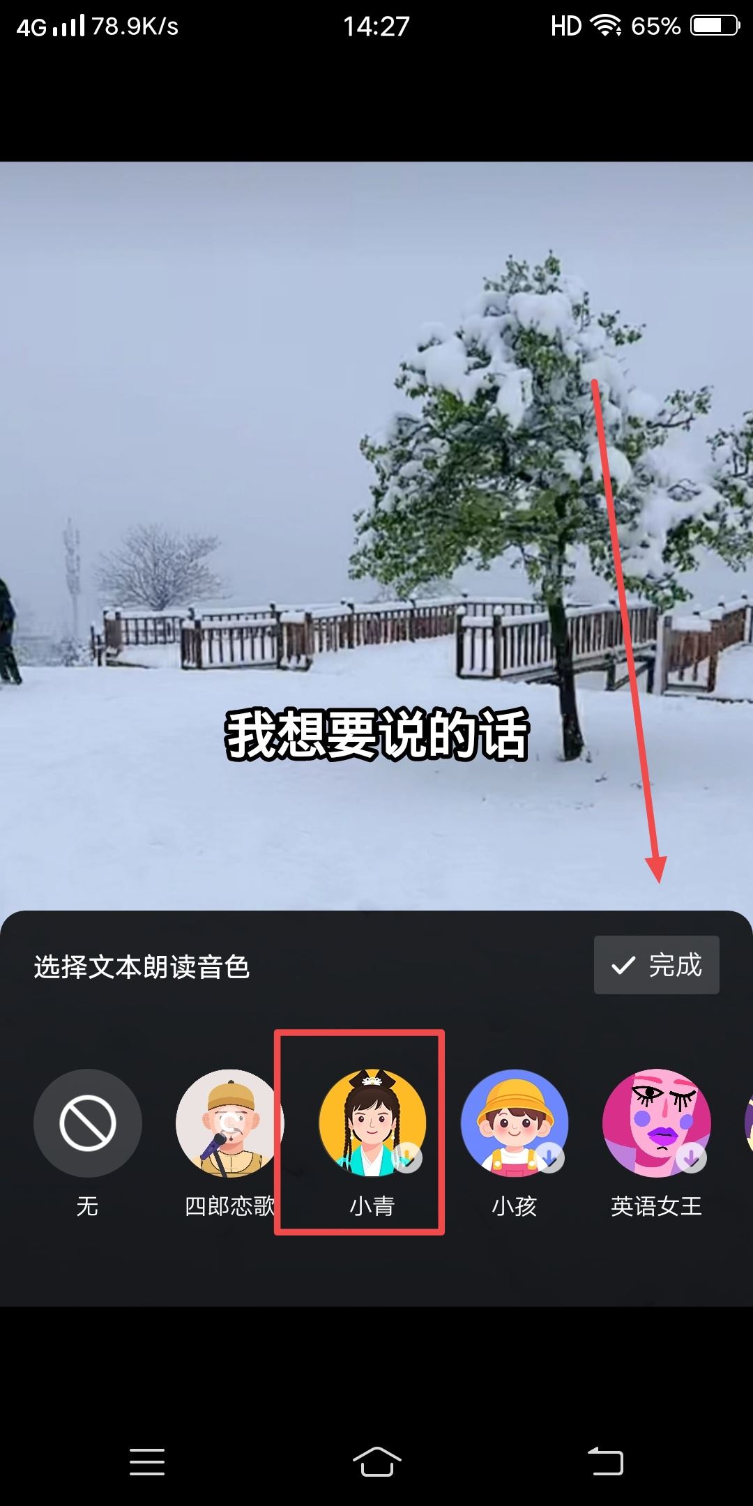 抖音發(fā)視頻怎么配自己想說的話？