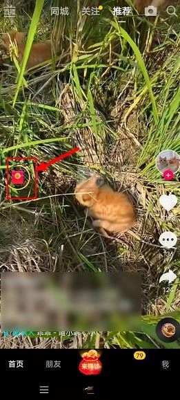 抖音極速版我的現(xiàn)金圖標如何去除？