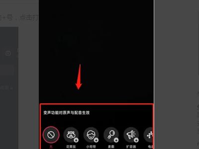 抖音特效的語(yǔ)音怎么弄？